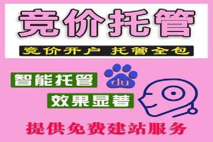 百度推广代运营公司如何实现广告投放的ROI最大化